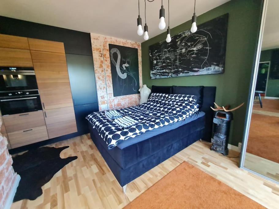 Rovio Art Apartments Gummeruksenkatu 5 Jyvaeskylae מראה חיצוני תמונה